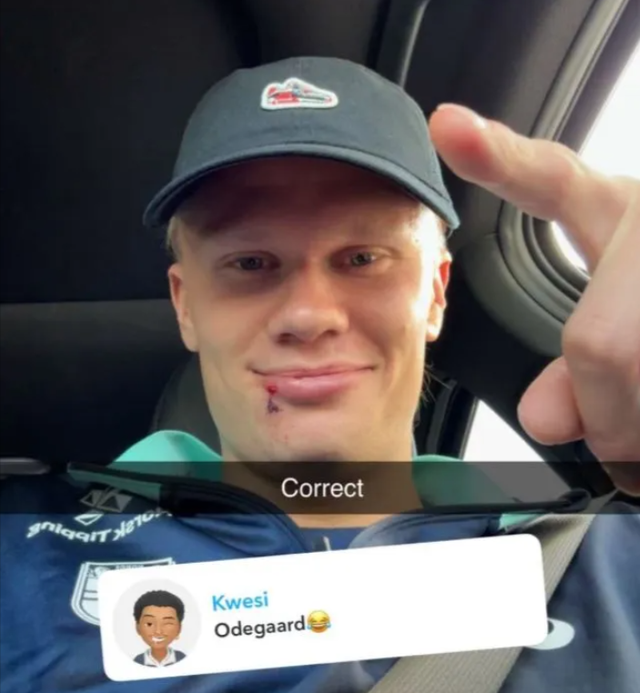 谁弄的, 尽管, 哈兰德也将 谁弄的, 尽管, 哈兰德也将