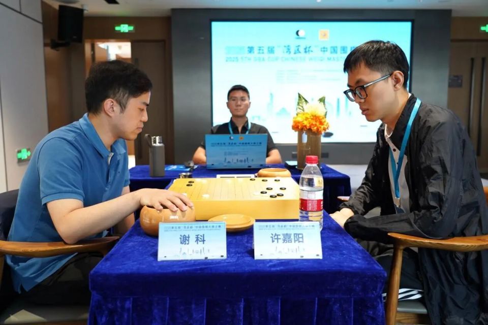 的棋手多达, Shk, ku 的棋手多达, Shk, ku